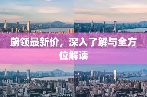蔚领最新价，深入了解与全方位解读