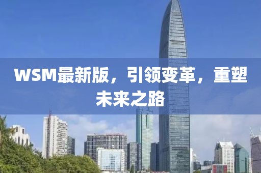 WSM最新版，引领变革，重塑未来之路