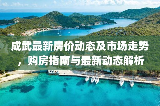 成武最新房价动态及市场走势，购房指南与最新动态解析