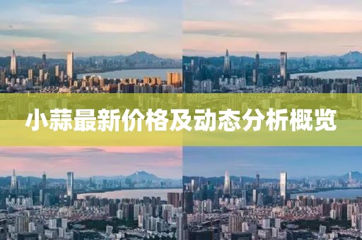 小蒜最新价格及动态分析概览