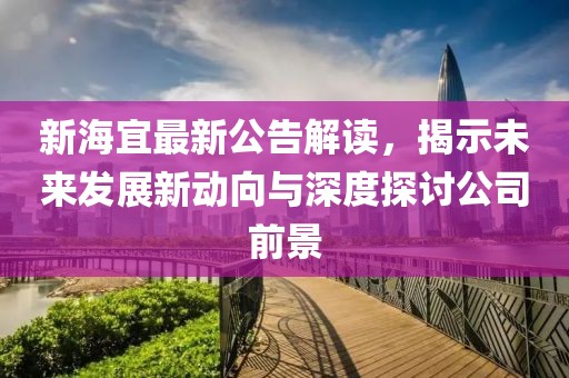 新海宜最新公告解读，揭示未来发展新动向与深度探讨公司前景