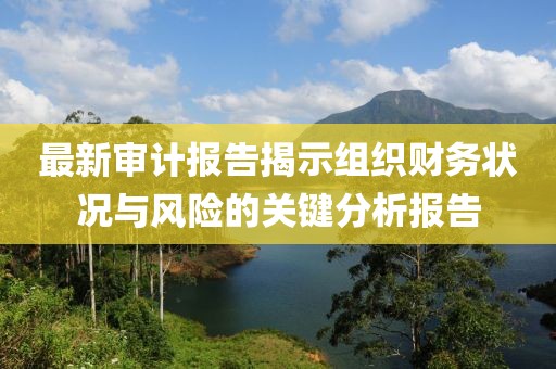最新审计报告揭示组织财务状况与风险的关键分析报告