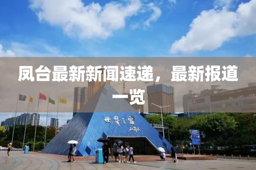 凤台最新新闻速递，最新报道一览