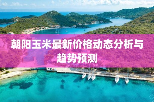 朝阳玉米最新价格动态分析与趋势预测