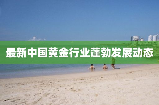 最新中国黄金行业蓬勃发展动态