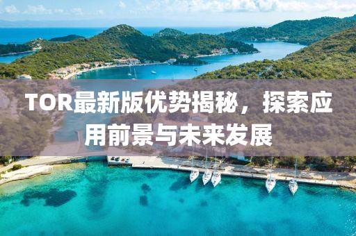 TOR最新版优势揭秘，探索应用前景与未来发展