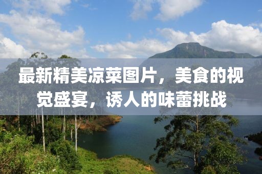 最新精美凉菜图片，美食的视觉盛宴，诱人的味蕾挑战