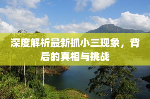 深度解析最新抓小三现象，背后的真相与挑战