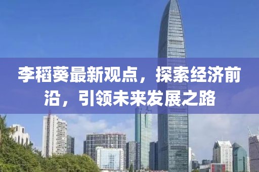 李稻葵最新观点，探索经济前沿，引领未来发展之路