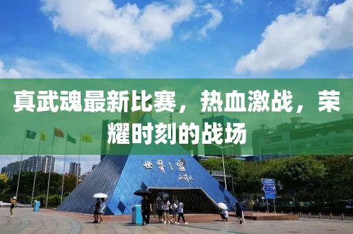 真武魂最新比赛，热血激战，荣耀时刻的战场