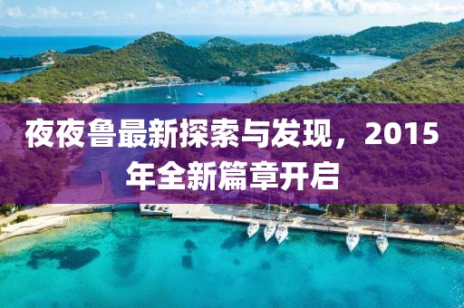 夜夜鲁最新探索与发现，2015年全新篇章开启