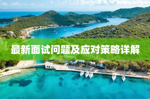 最新面试问题及应对策略详解