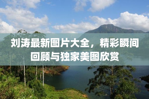 刘涛最新图片大全，精彩瞬间回顾与独家美图欣赏
