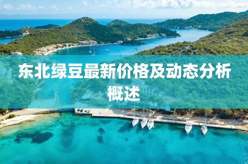 东北绿豆最新价格及动态分析概述