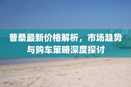 普桑最新价格解析，市场趋势与购车策略深度探讨