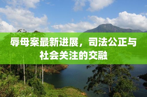 辱母案最新进展，司法公正与社会关注的交融