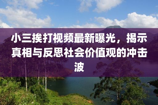 小三挨打视频最新曝光，揭示真相与反思社会价值观的冲击波