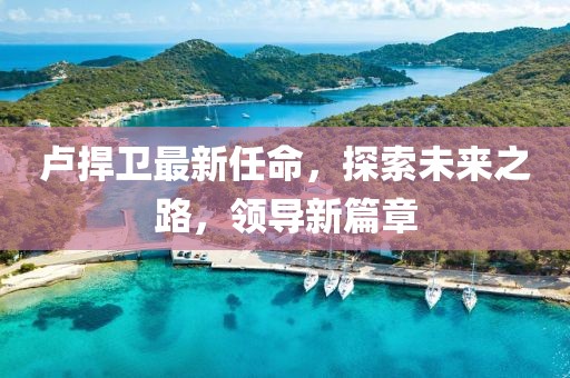 卢捍卫最新任命，探索未来之路，领导新篇章