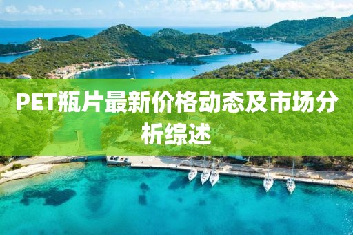PET瓶片最新价格动态及市场分析综述