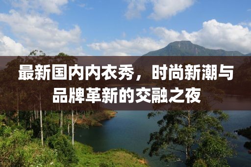 最新国内内衣秀，时尚新潮与品牌革新的交融之夜