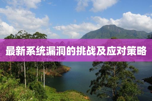 最新系统漏洞的挑战及应对策略