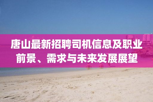 唐山最新招聘司机信息及职业前景、需求与未来发展展望