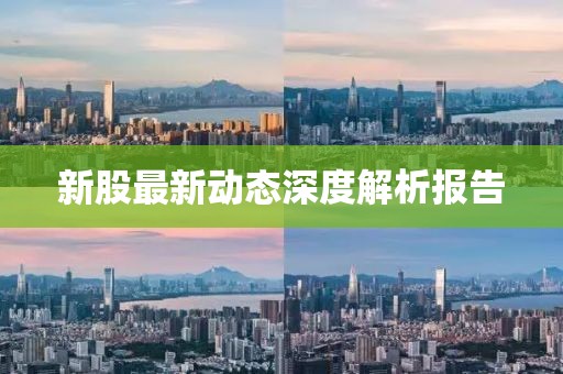 新股最新动态深度解析报告