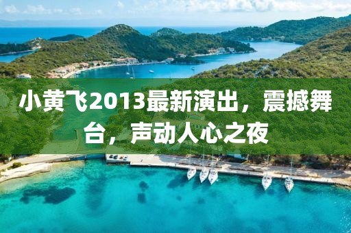 小黄飞2013最新演出，震撼舞台，声动人心之夜