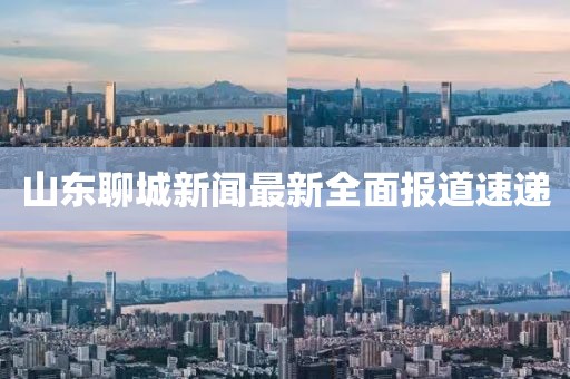 山东聊城新闻最新全面报道速递