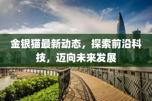 金银猫最新动态，探索前沿科技，迈向未来发展