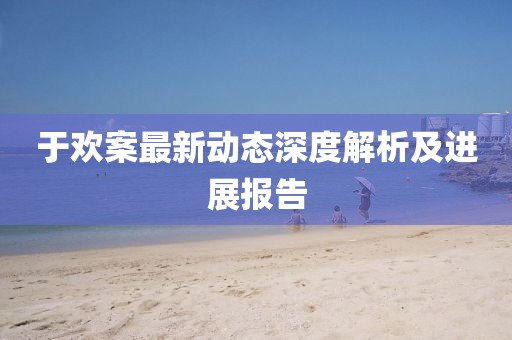 于欢案最新动态深度解析及进展报告