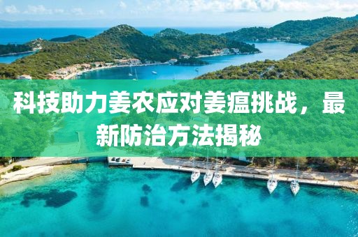 科技助力姜农应对姜瘟挑战，最新防治方法揭秘