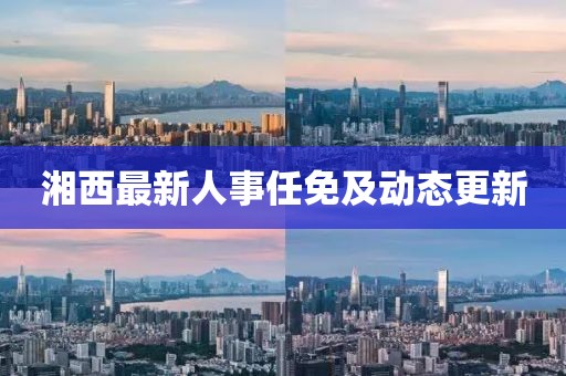 湘西最新人事任免及动态更新