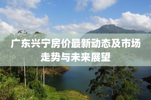 广东兴宁房价最新动态及市场走势与未来展望