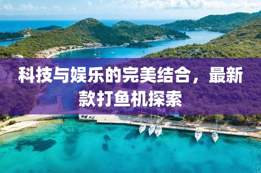 科技与娱乐的完美结合，最新款打鱼机探索