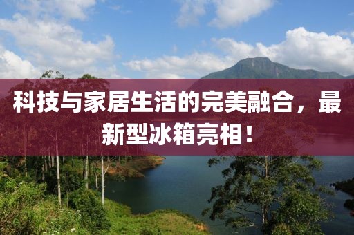科技与家居生活的完美融合，最新型冰箱亮相！