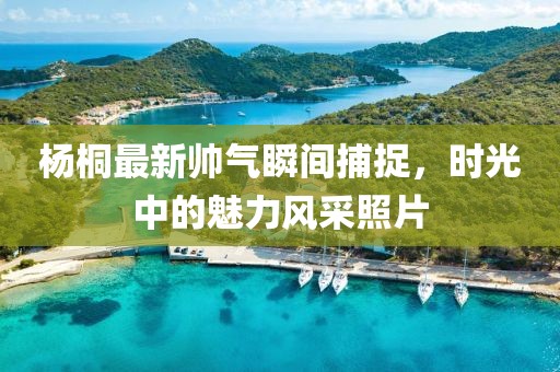 杨桐最新帅气瞬间捕捉，时光中的魅力风采照片