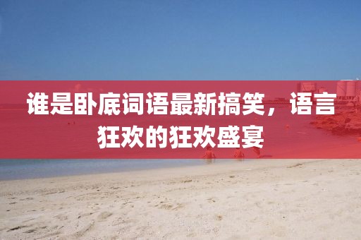 谁是卧底词语最新搞笑，语言狂欢的狂欢盛宴