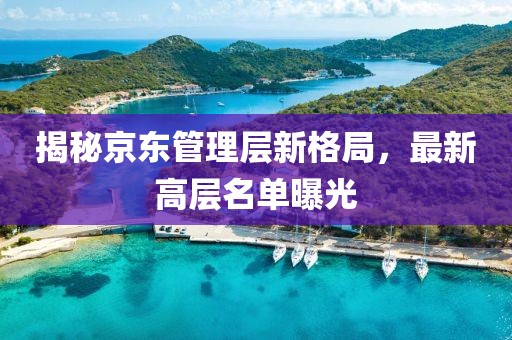 揭秘京东管理层新格局，最新高层名单曝光