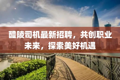 醴陵司机最新招聘，共创职业未来，探索美好机遇