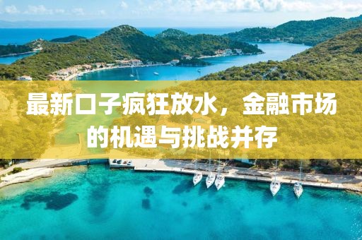 最新口子疯狂放水，金融市场的机遇与挑战并存