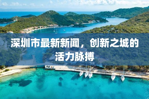 深圳市最新新闻，创新之城的活力脉搏