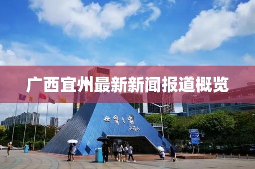 广西宜州最新新闻报道概览