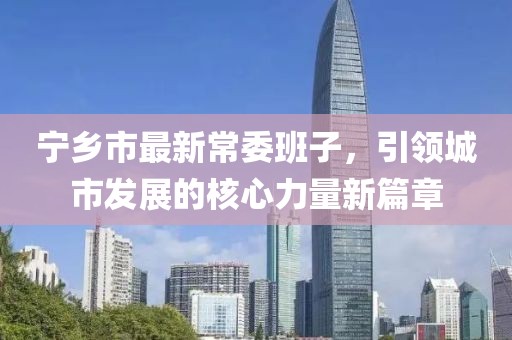 宁乡市最新常委班子，引领城市发展的核心力量新篇章