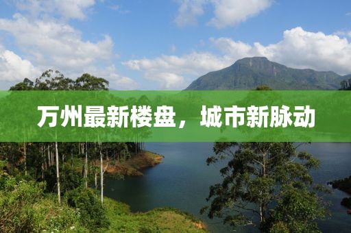 万州最新楼盘，城市新脉动