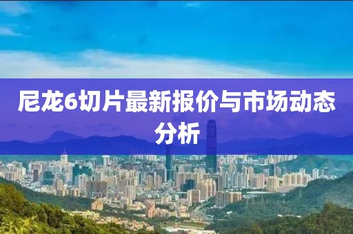 尼龙6切片最新报价与市场动态分析