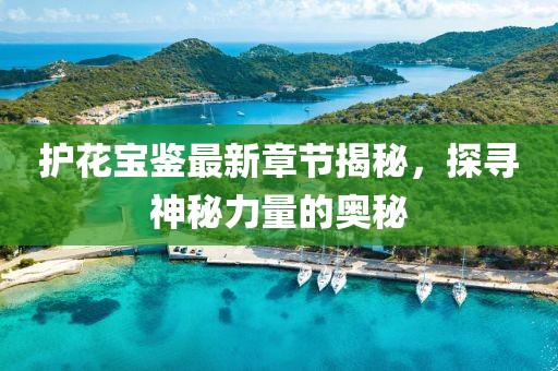 护花宝鉴最新章节揭秘，探寻神秘力量的奥秘