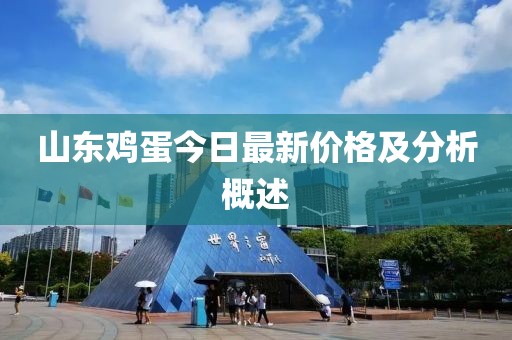 山东鸡蛋今日最新价格及分析概述