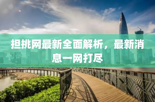 担挑网最新全面解析，最新消息一网打尽