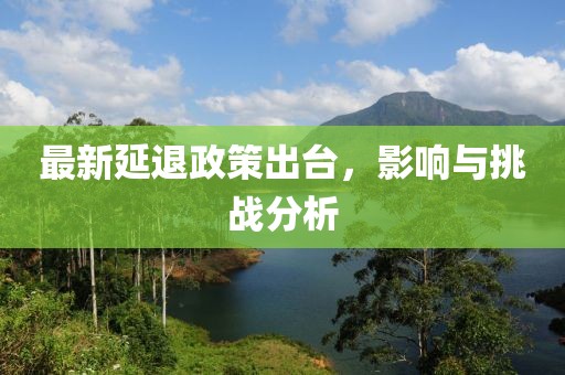 最新延退政策出台，影响与挑战分析